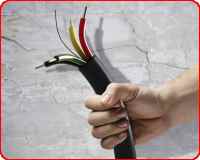 ������ ������ ������